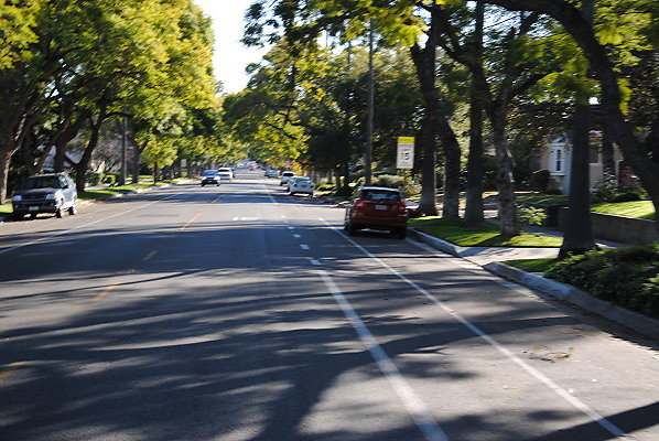 DSC 0183