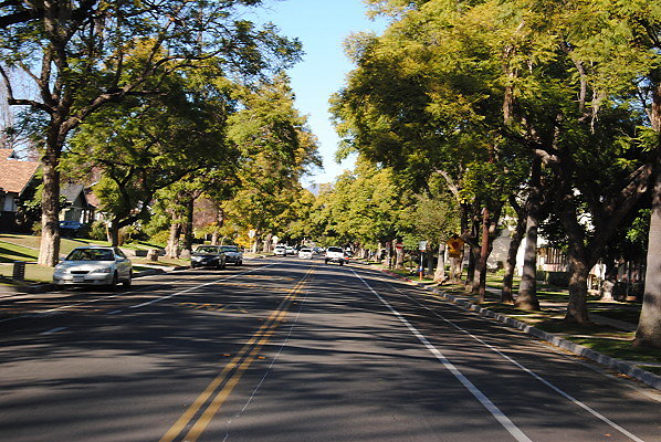 DSC 0210