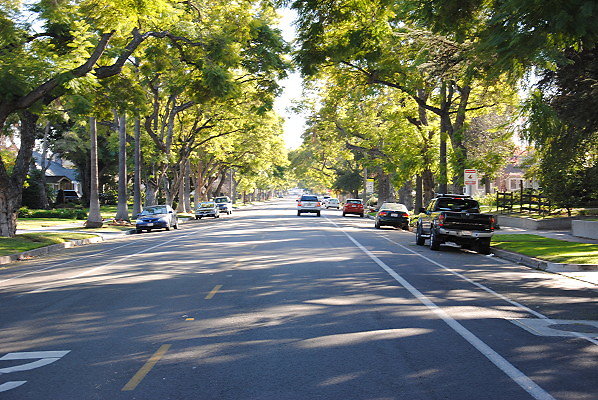 DSC 0180