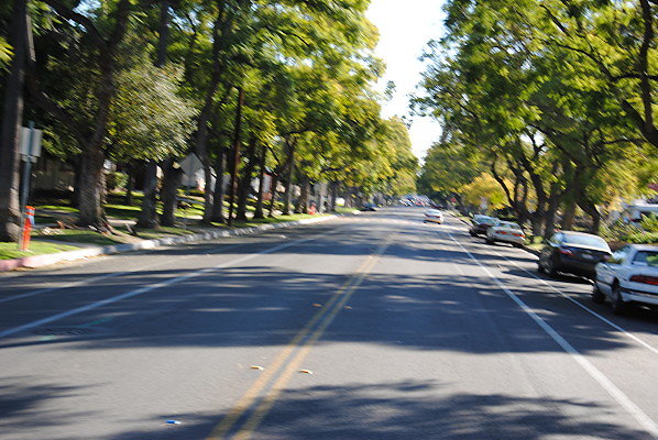 DSC 0188