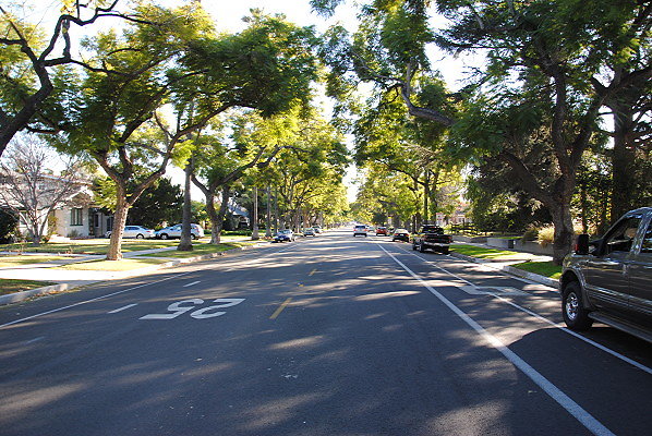 DSC 0179