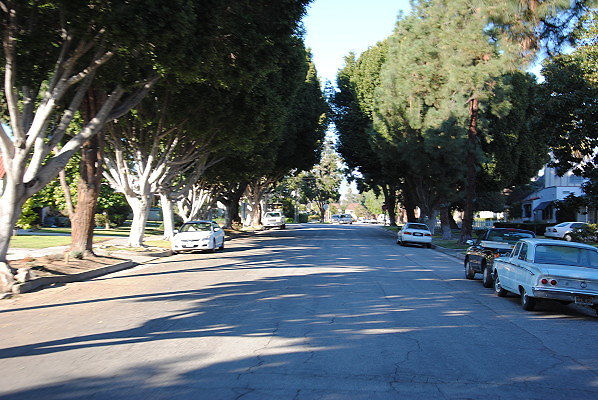 DSC 0265