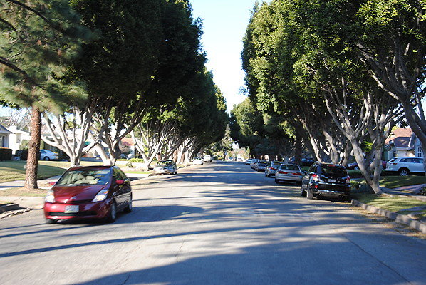 DSC 0263