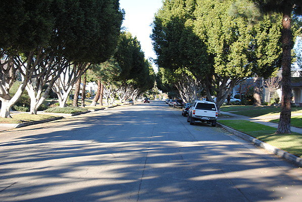 DSC 0262