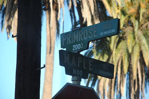 Primrose.South of Huntington.So.PAs.