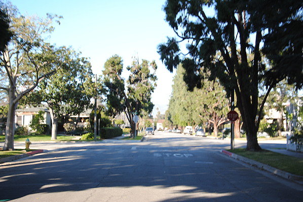 DSC 0267