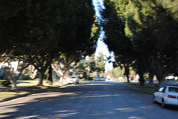 DSC 0266