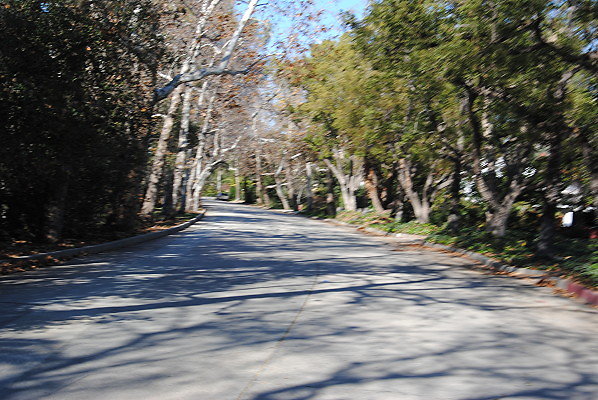 DSC 0103