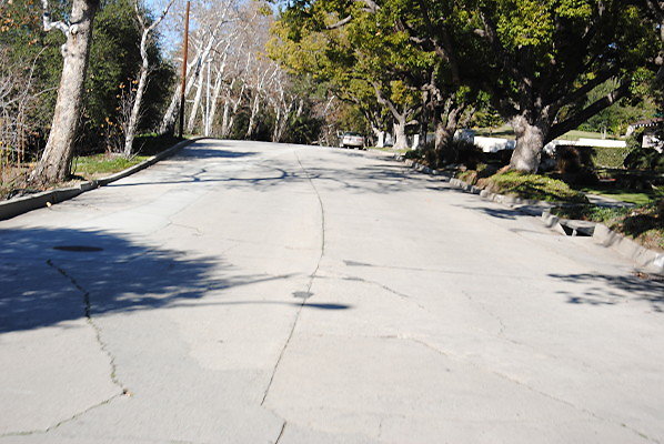 DSC 0100