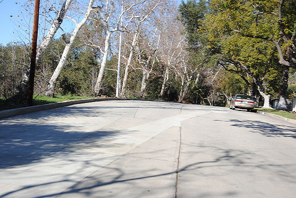 DSC 0101