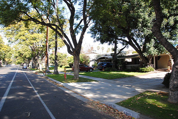 DSC 0226