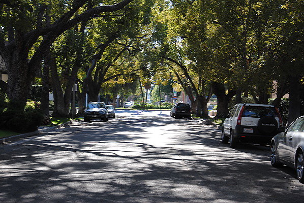 South Pasadena Canopy Streets
