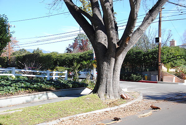 DSC 0123
