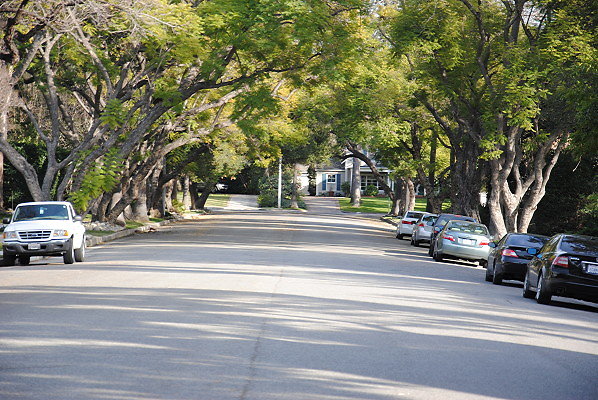 DSC 0006