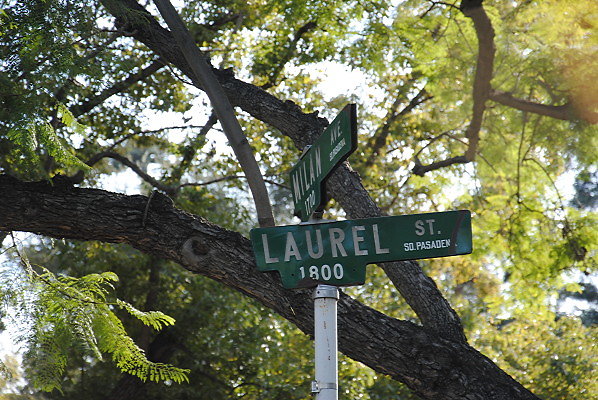 Laurel Ave.So.Pas.Winter