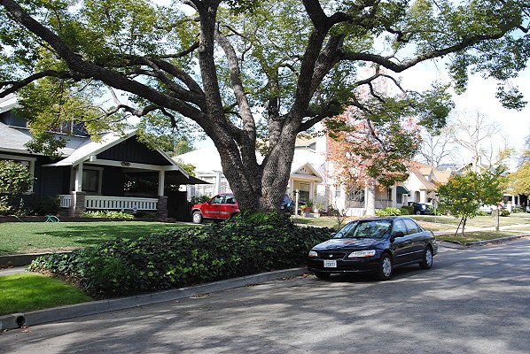 DSC 0263