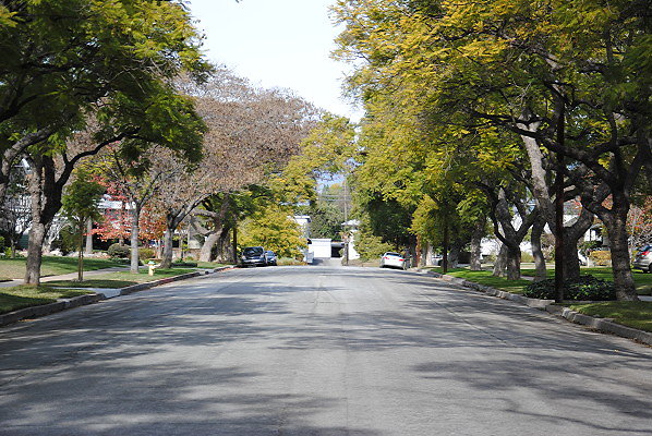 DSC 0294