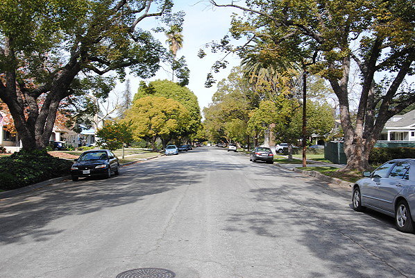 DSC 0255