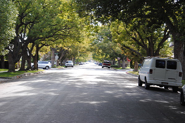 DSC 0288