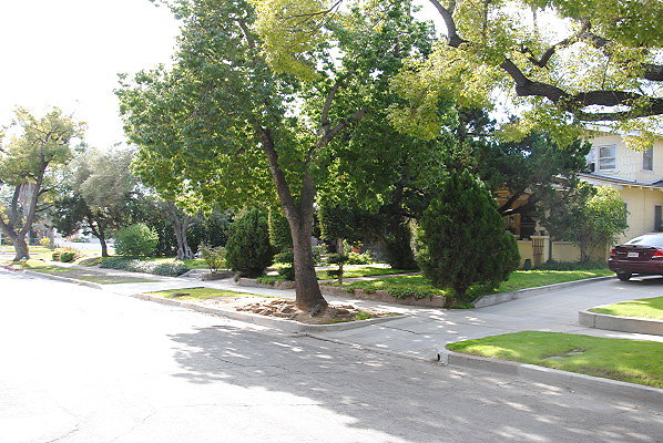DSC 0261