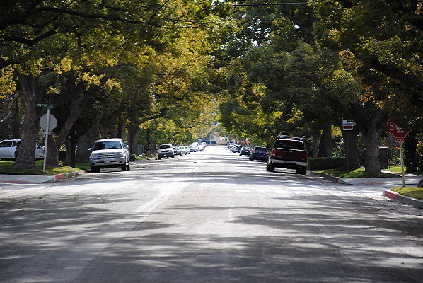 DSC 0289