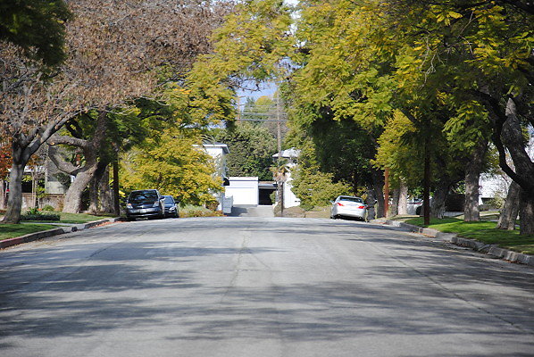 DSC 0295