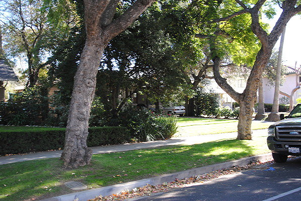 DSC 0229