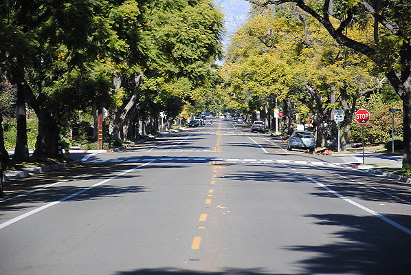 DSC 0196