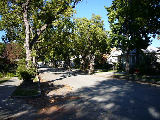P1060489