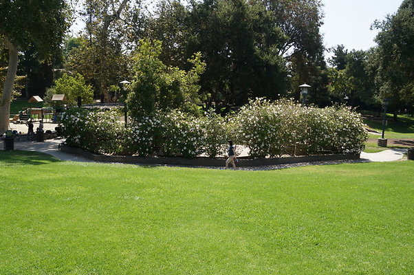 DSC05685