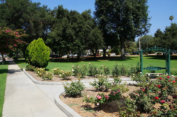 DSC05596