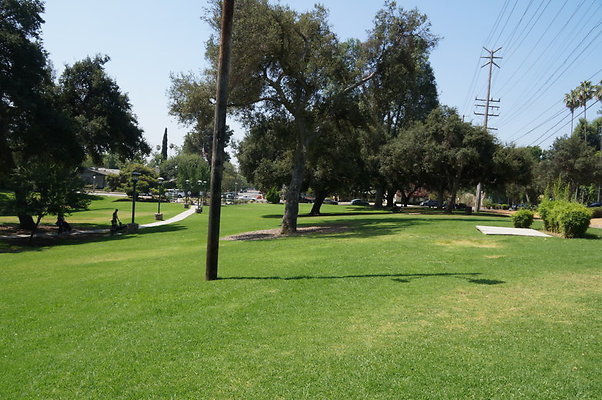 DSC05686