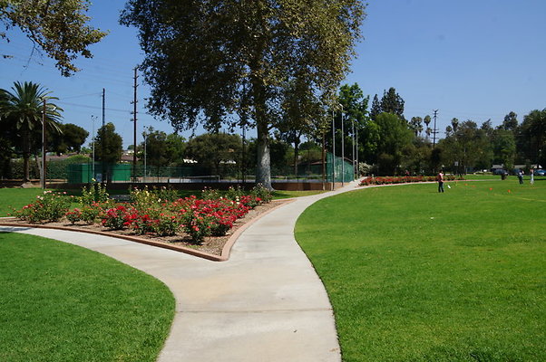 DSC05663