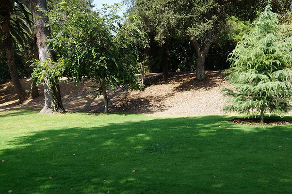 DSC05674