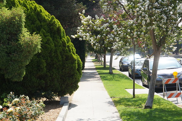 DSC05600