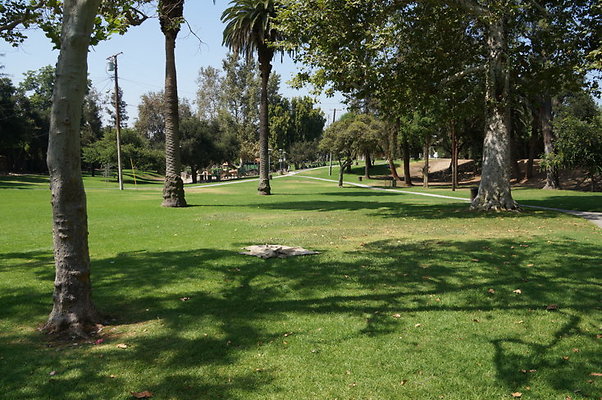 DSC05669