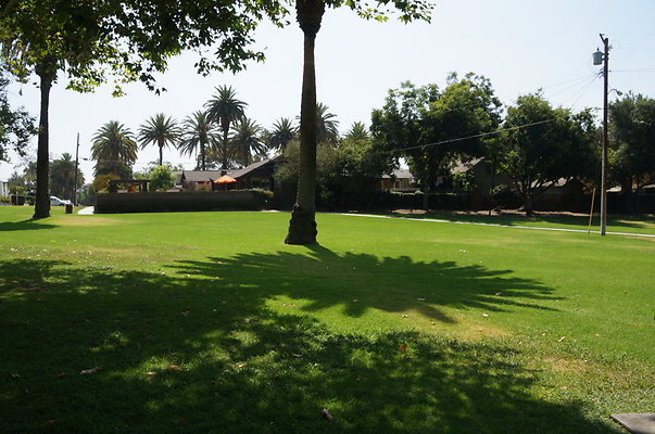 DSC05676