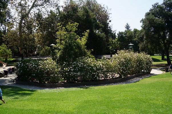 DSC05678