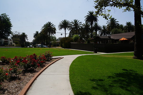 DSC05666