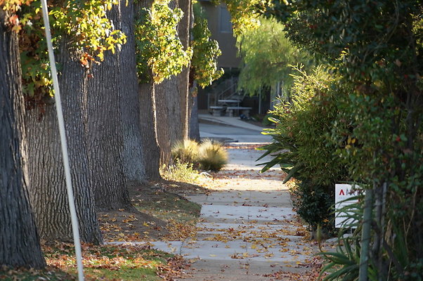 Humby.Park.Ave.SP.10