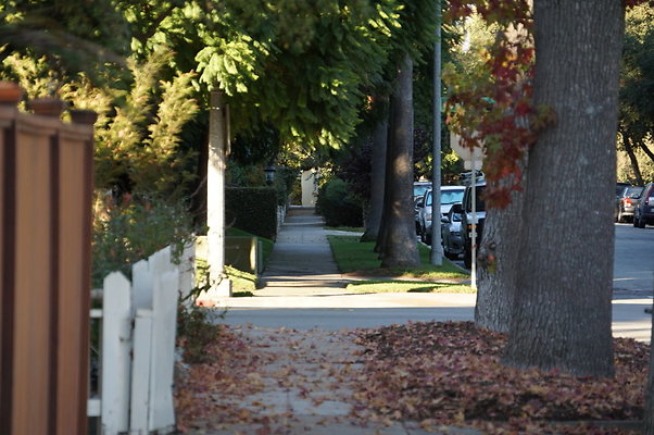Humby.Park.Ave.SP.13