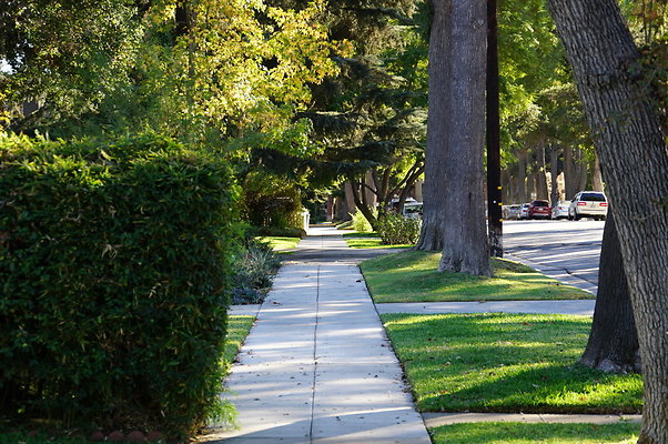 Diamond.Sidewalks.1700.SP.17