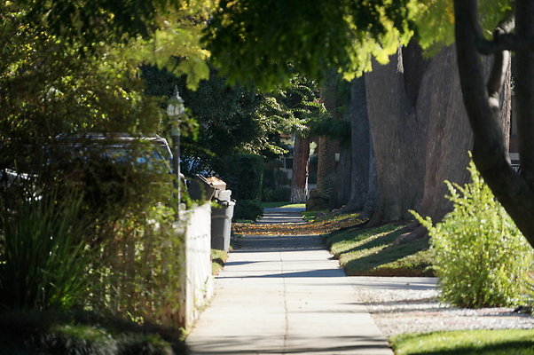 Diamond.Sidewalks.1700.SP.12
