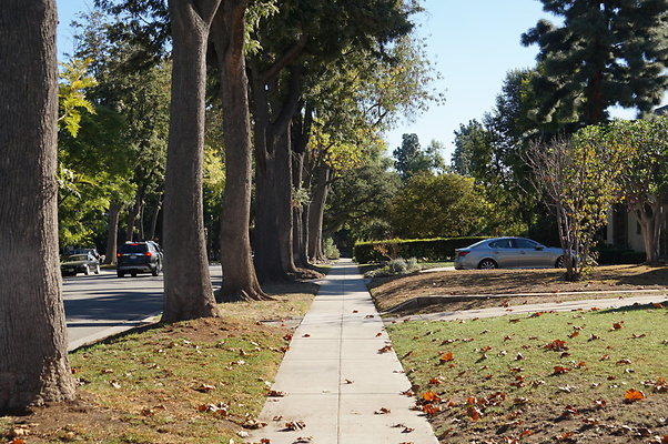 Diamond.Sidewalks.1700.SP.07
