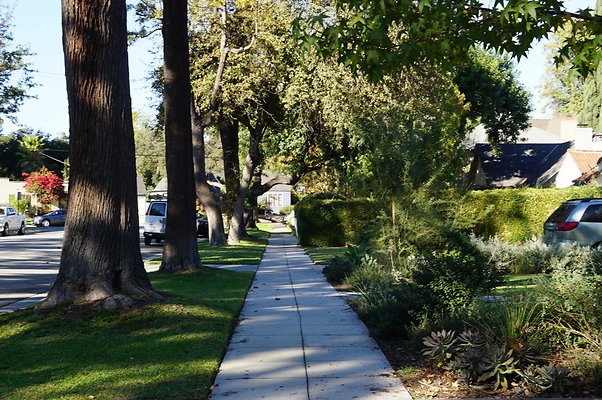 Diamond.Sidewalks.1700.SP.13