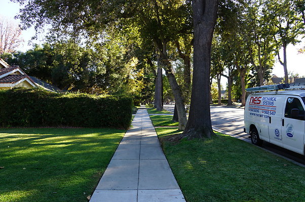 Diamond.Sidewalks.1700.SP.16