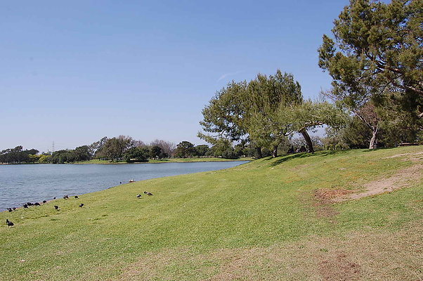 DSC 0066