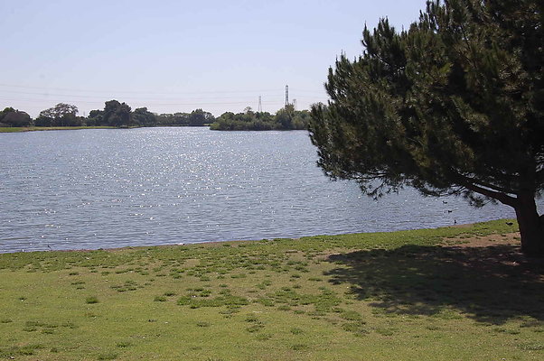 DSC 0108