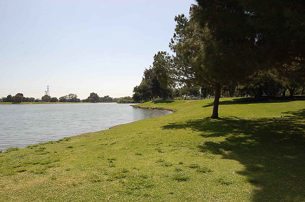 DSC 0091