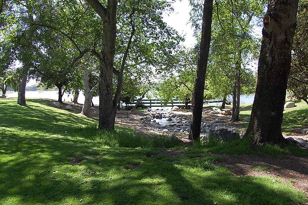 DSC 0113